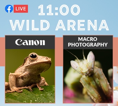 11.05am - CANON - Macro Photography 11.05am - CANON - Macro Photography